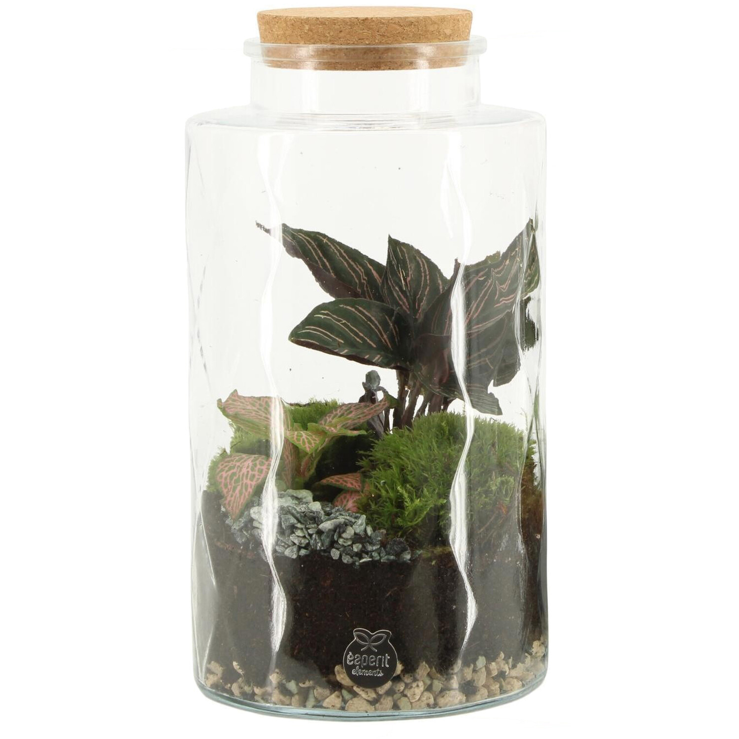 Terrarium Image 1