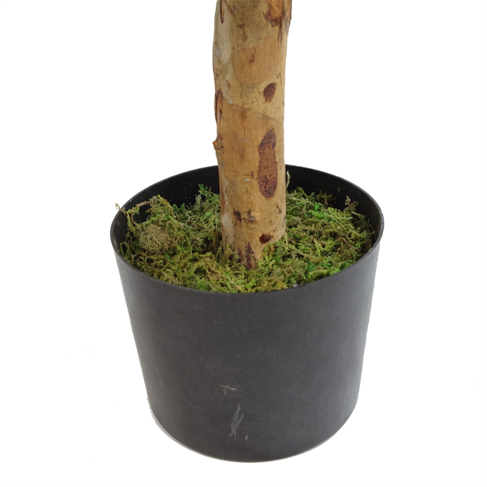 Botanik Green Dracaena Ficus Artificial Tree with Natural Wood Trunk in Pot 3.3ft Image 3