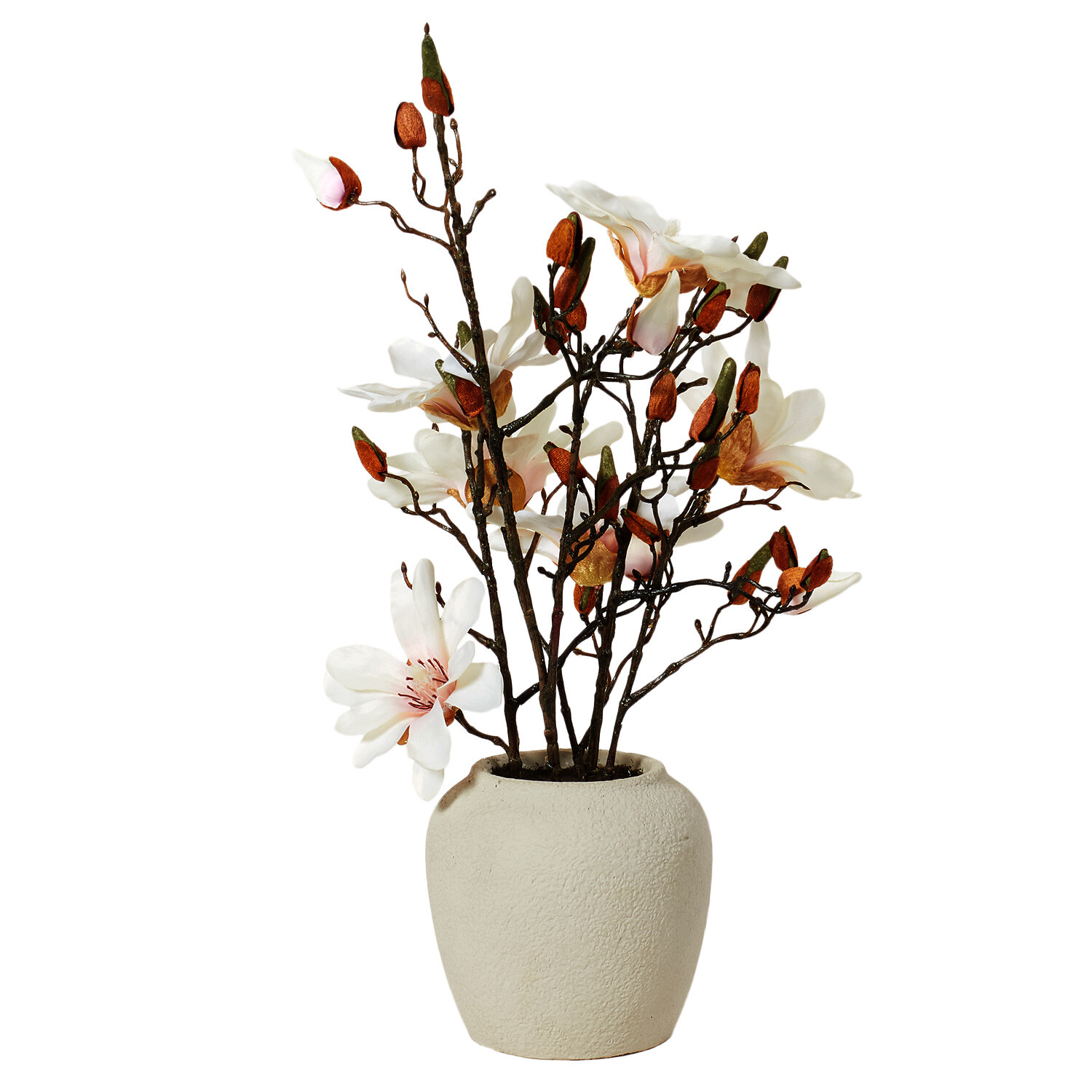 Magnolia Arrangement - Neutral Image 2