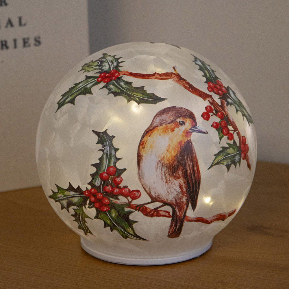 Samuel Alexander 20 Warm White LED Robin Glass Ball Christmas Decoration 15cm Image 2