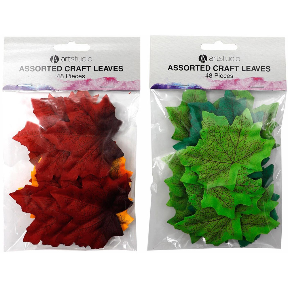 Pack of 48 Art Studio Craft Leaves Image