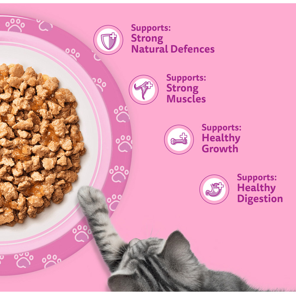 Pack of 40 Whiskas Poultry Feasts in Jelly Wet Kitten Food Pouches Image 3