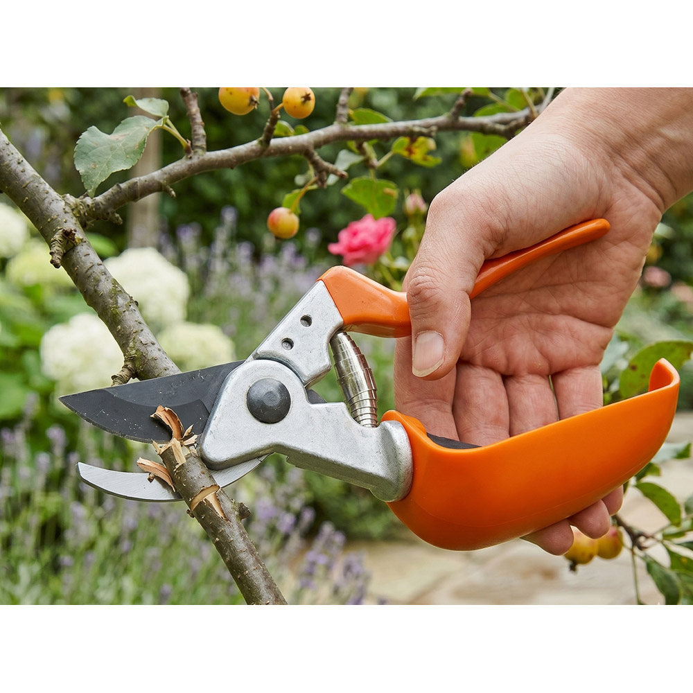 Avilo Carbon Steel Blades Ergonomic Pruner with Non-Slip Handles and Safety Lock  Image 4