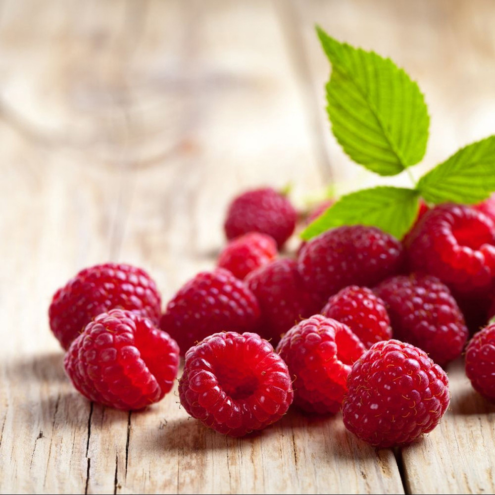 Thompson & Morgan Raspberry Rubus Idaeus Glen Ample Cane Plant 12 Pack Image 2