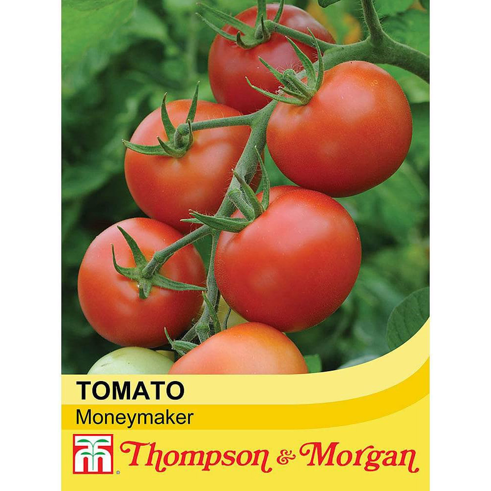 Thompson & Morgan Tomato Moneymaker Seed Packet Image 2