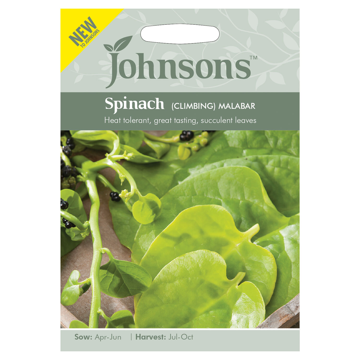 Johnsons Spinach Climbing Malabar Vegetable Seeds Image 2