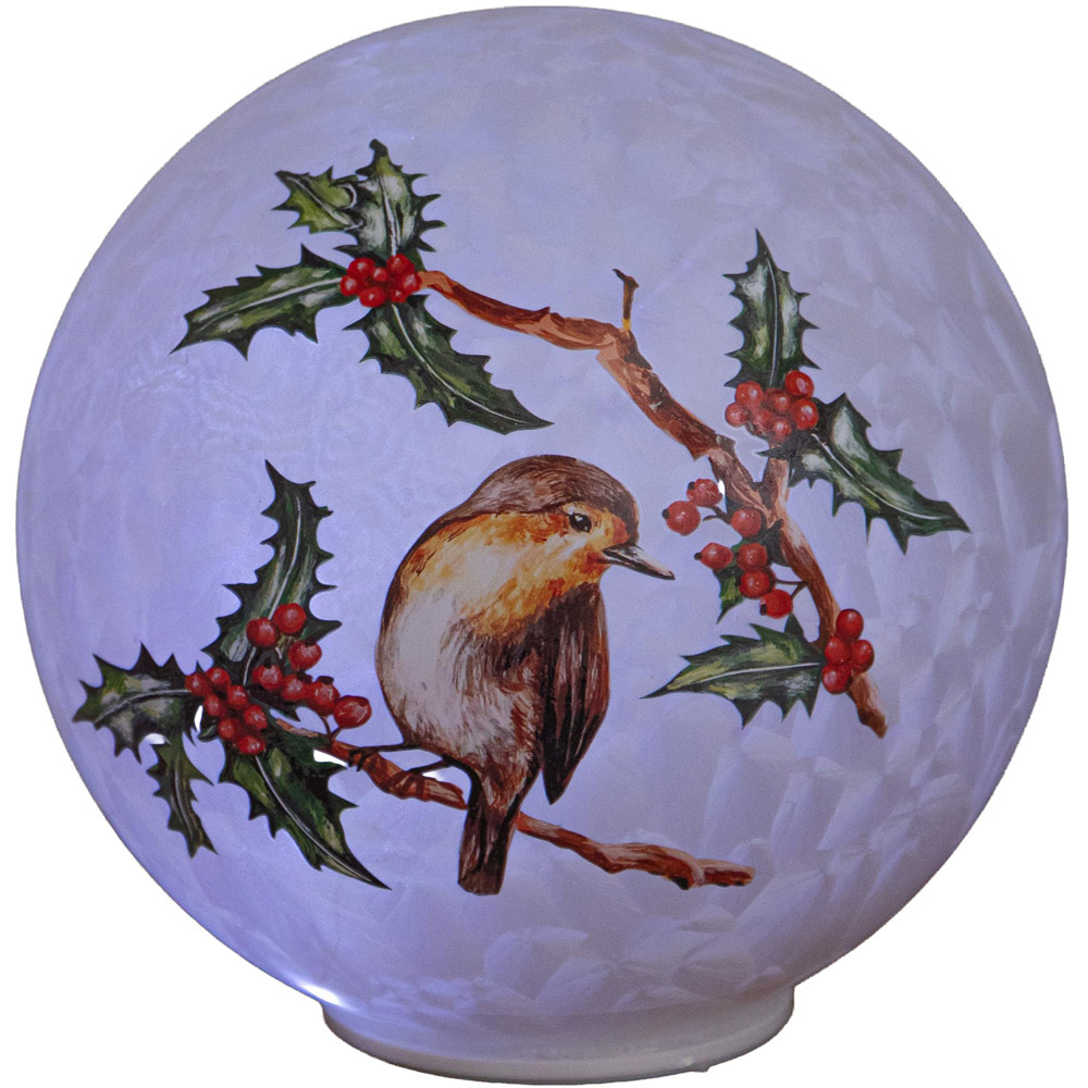 Samuel Alexander 20 Cool White LED Robin Glass Ball Christmas Decoration 15cm Image 1