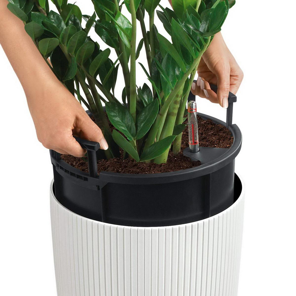 Lechuza Cilindro White Polyresin Self Watering Planter 56cm 2 Pack Image 4