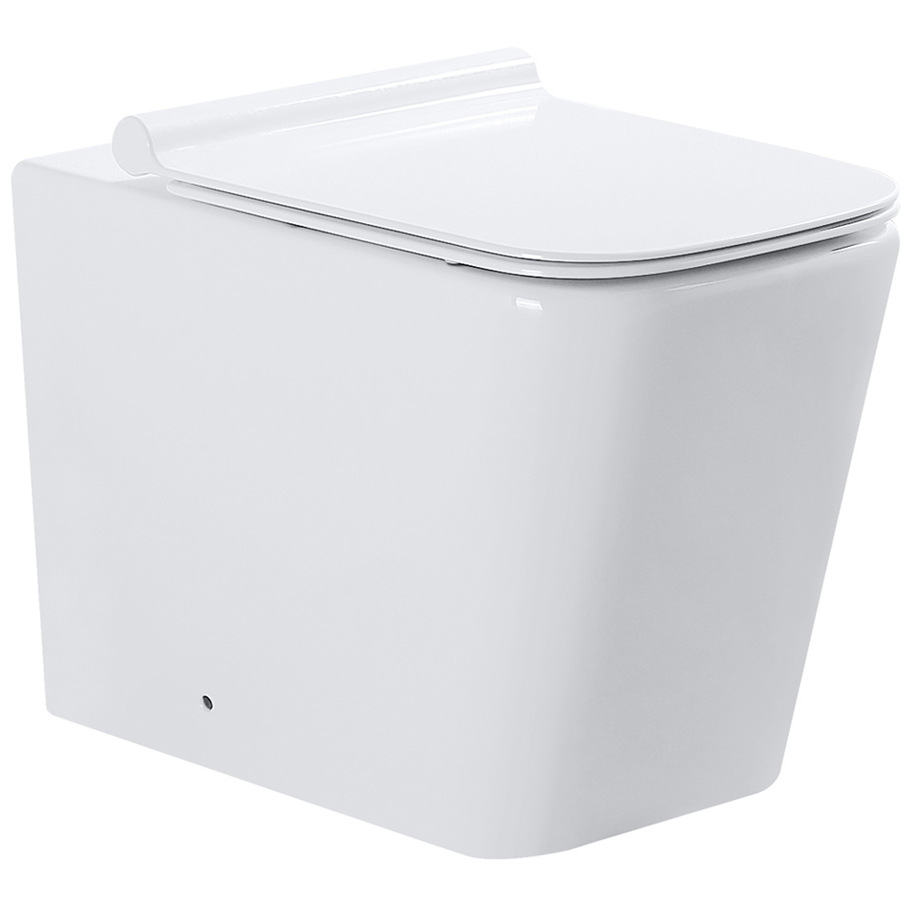 Limoge Oran White Back to Wall Rimless Toilet Pan Image 1
