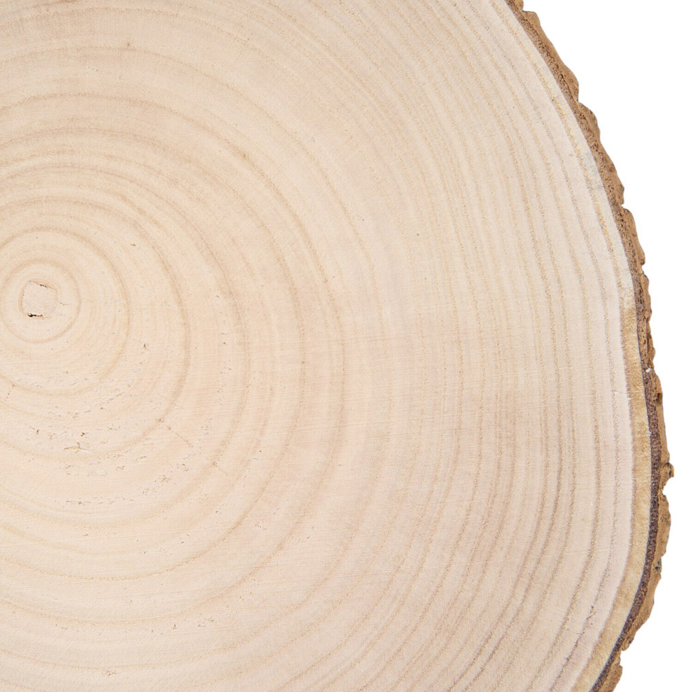Paulownia Wooden Log Decoration Natural 30cm Image 2