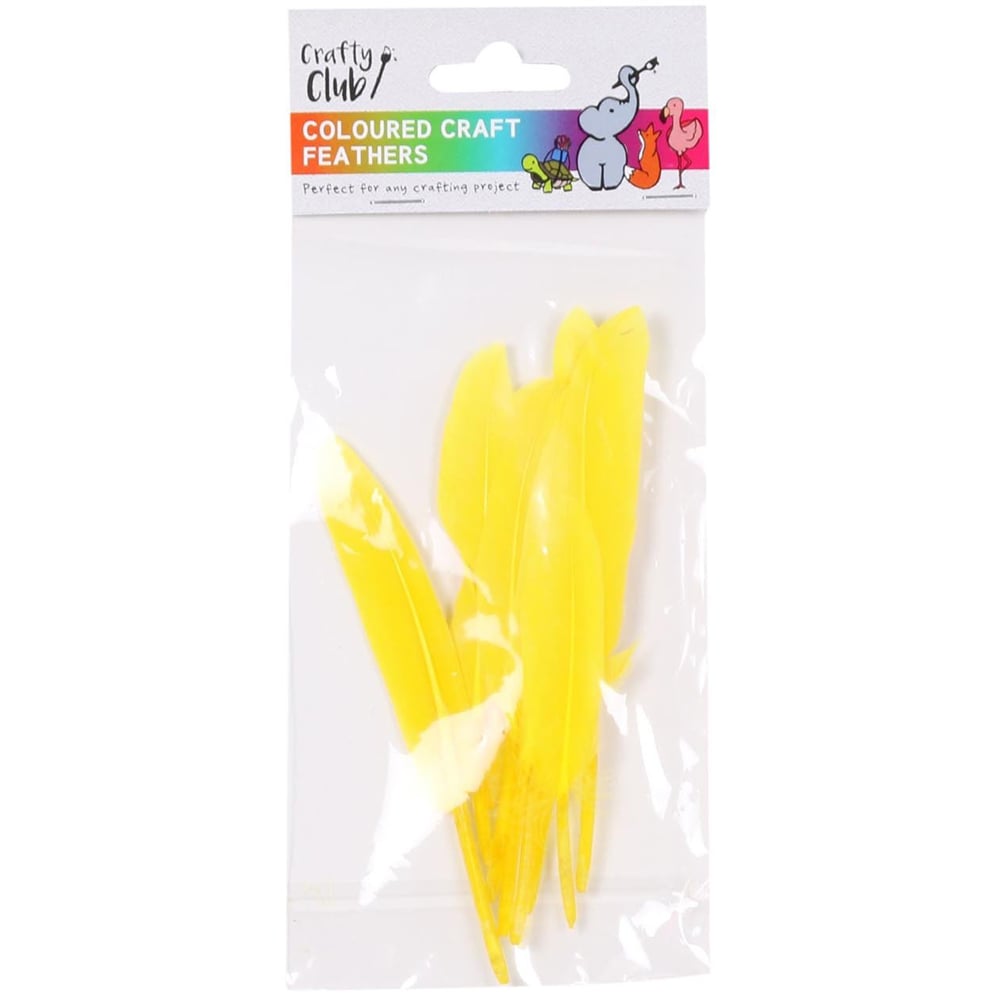 Crafty Club Coloured Craft Feathers Image 4