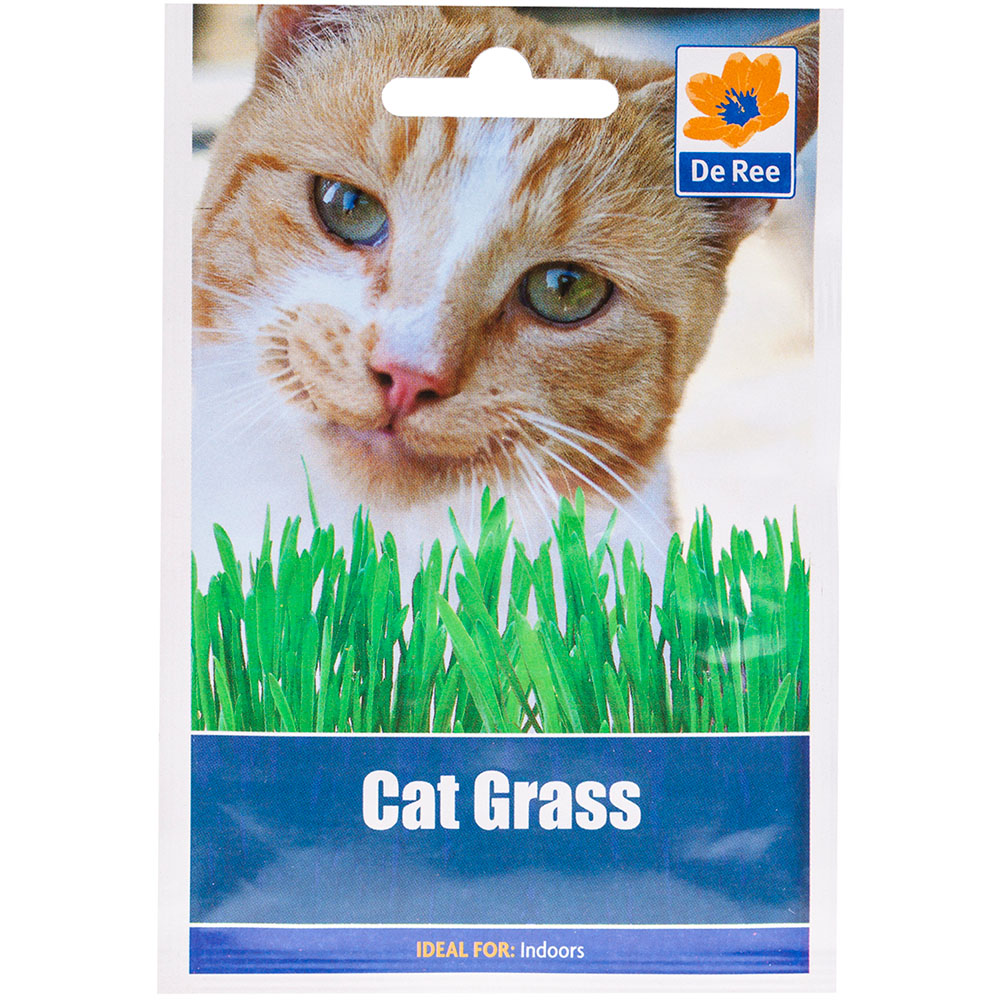 Cat Grass Seed Packet Image
