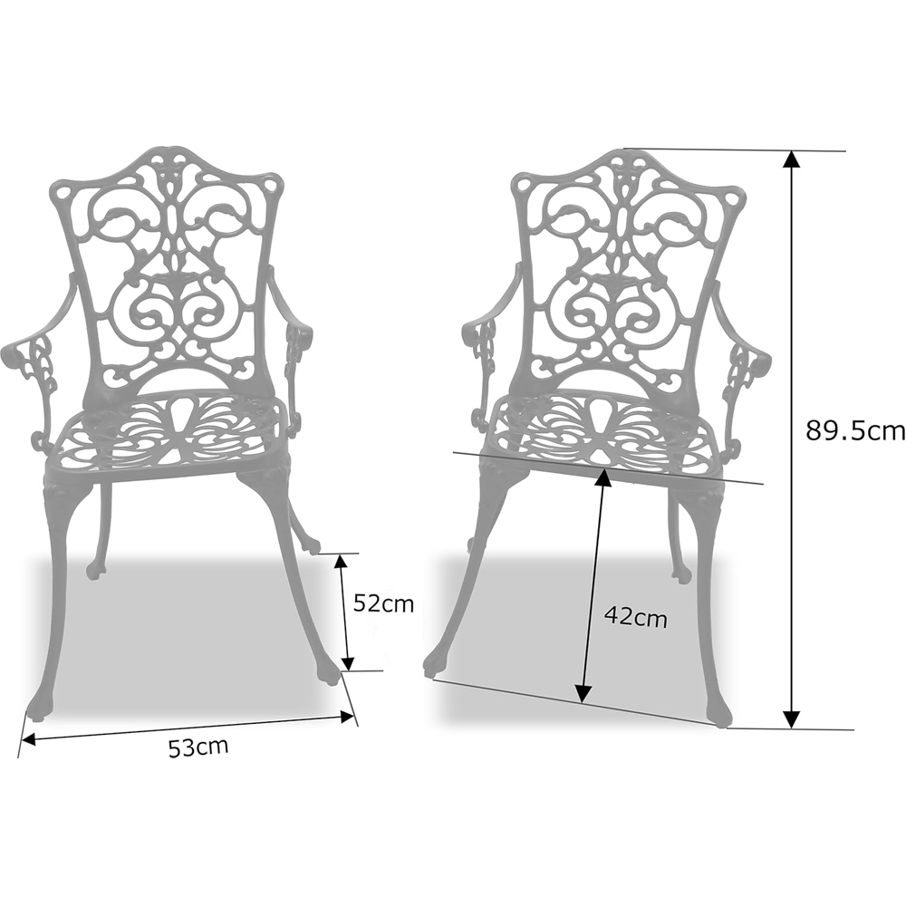 Centurion Tabreez Set of 2 Black Garden Bistro Chairs with Armrests Image 7
