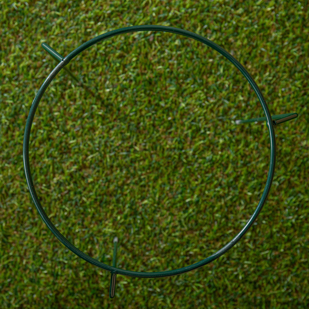 Samuel Alexander Green Metal Herbaceous Plant Support Ring 20cm Image 6