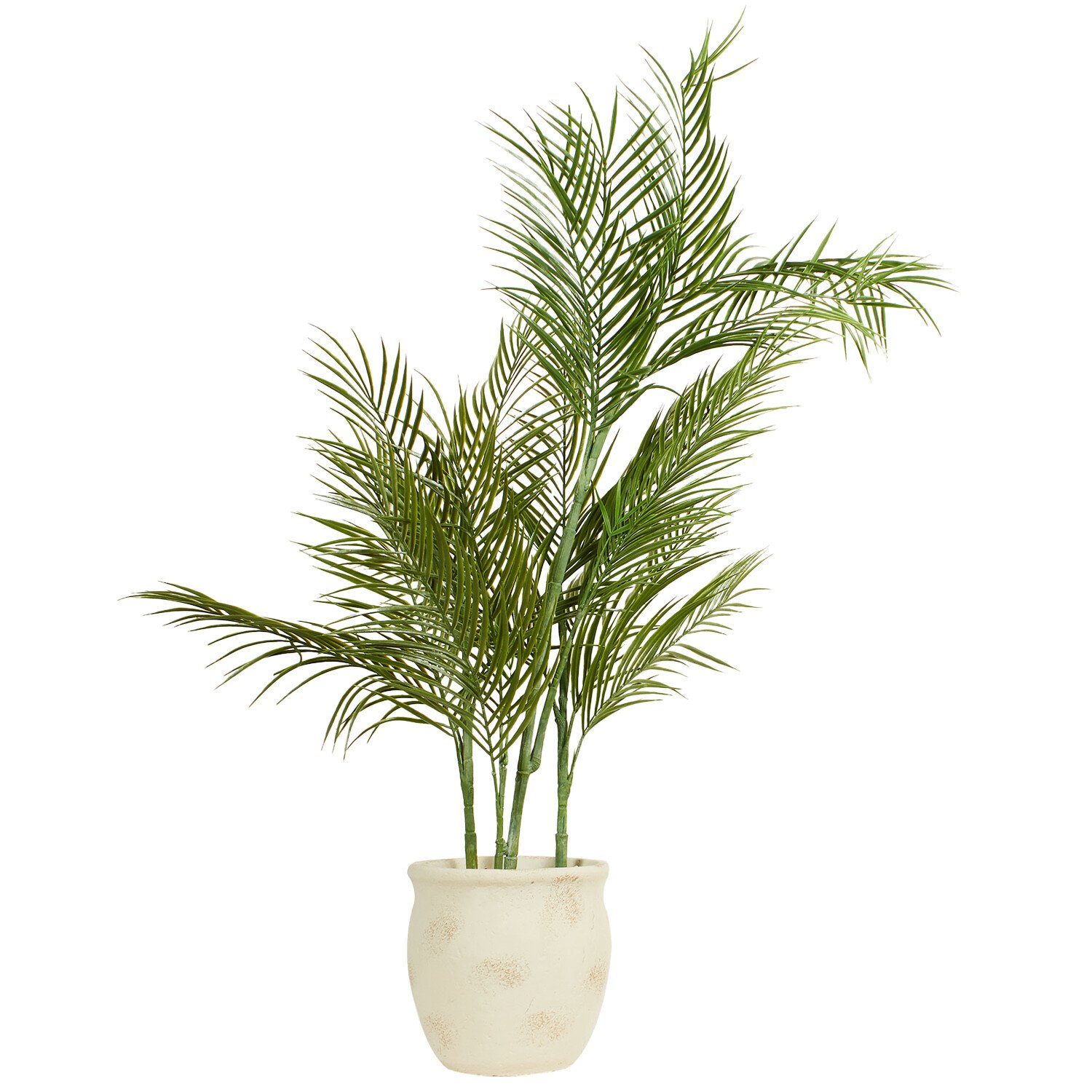 Palm in Cement Pot 100cm - Green Image 2