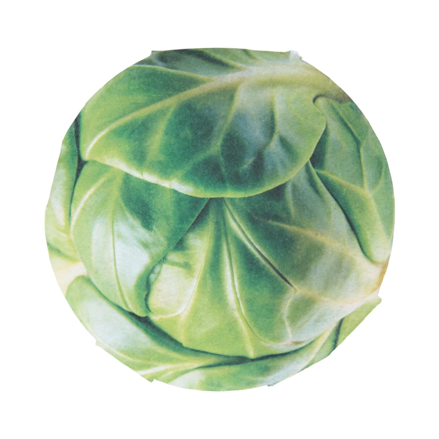 Elf Brussel Sprout Festive Outfit - Green Image 5