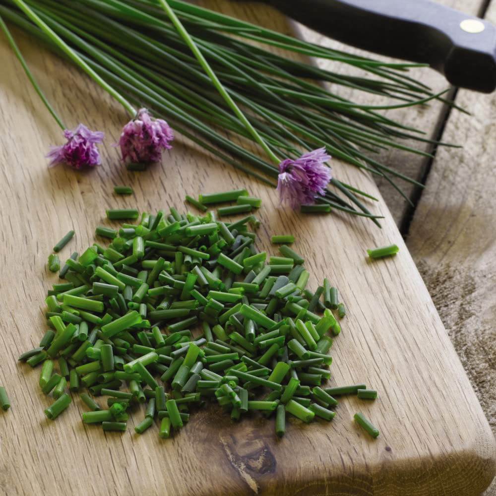 Thompson & Morgan Herb Chives Common Potted Plant 1L Image 2