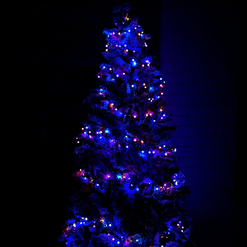 Samuel Alexander Rainbow LED Frosted Berry Christmas Lights 7.5m Image 6