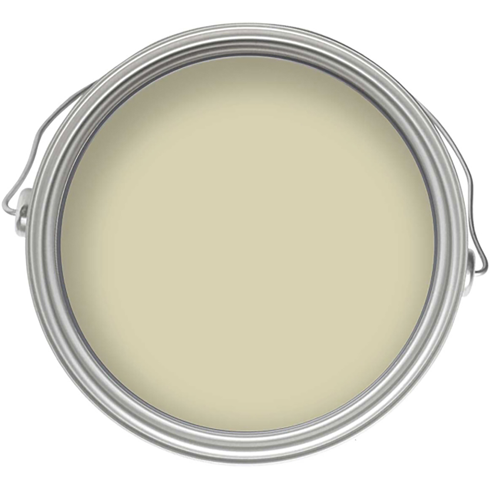 Craig & Rose Walls and Ceilings Eau de Nil Chalky Emulsion Paint 5L Image 3