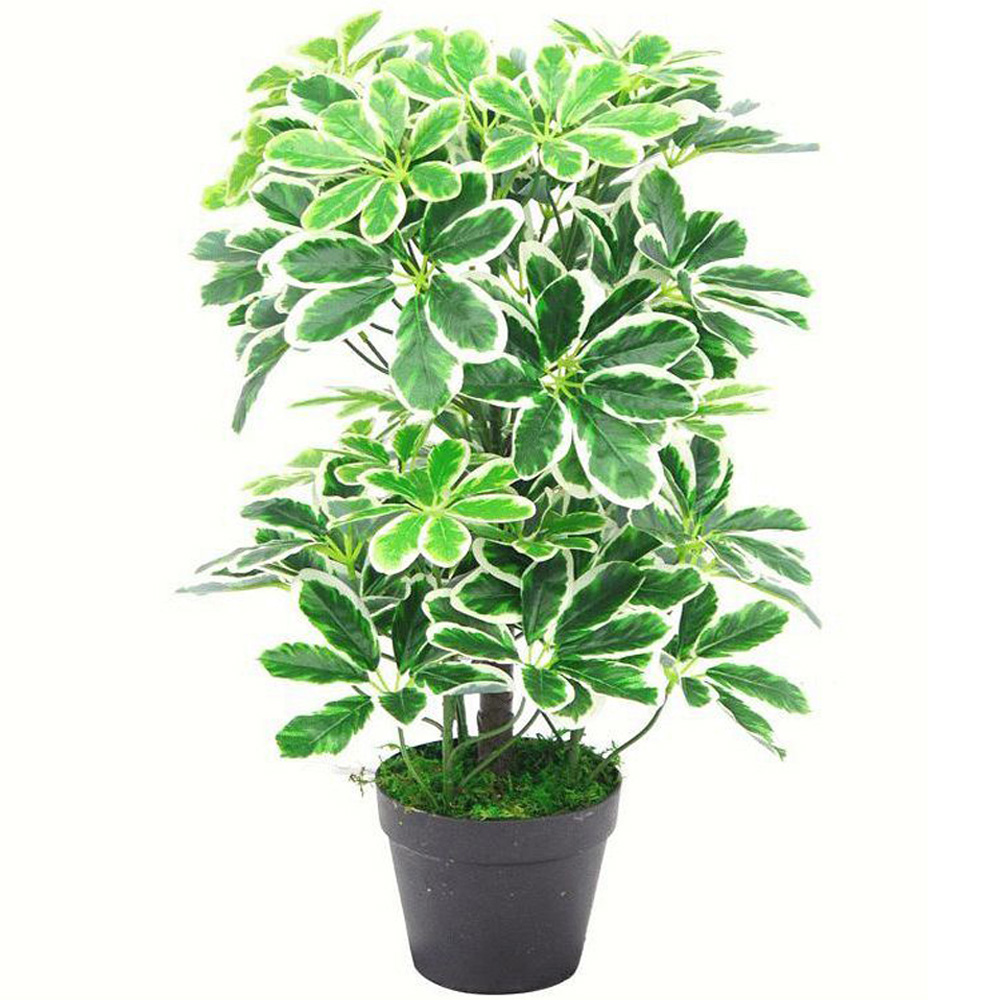 Leaf Arboricola Artificial Plant Pot 55cm Image 1