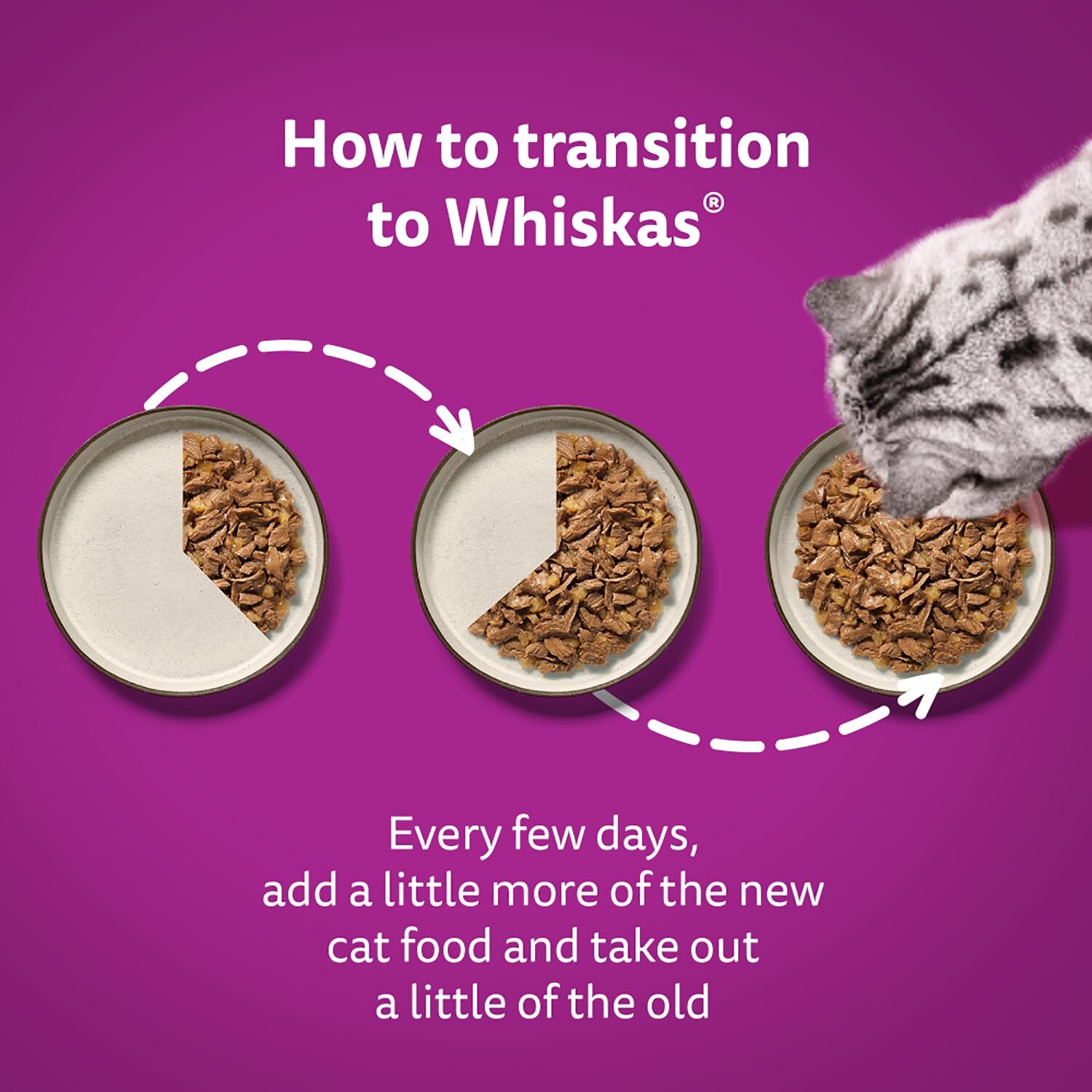 Whiskas 7+ Cat Food Pouches in Gravy - Beef, Chicken, Salmon, Tuna Image 5