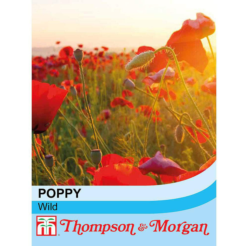 Thompson & Morgan Wildflower Corn Poppy Flanders Seed Packet Image 3