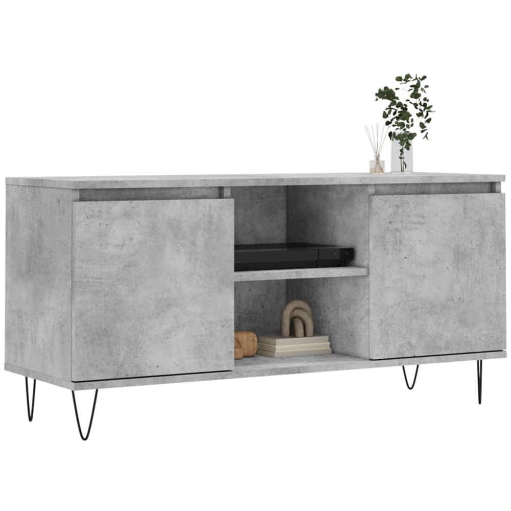 vidaXL 2 Door 2 Shelf Concrete Grey TV Cabinet Image 3