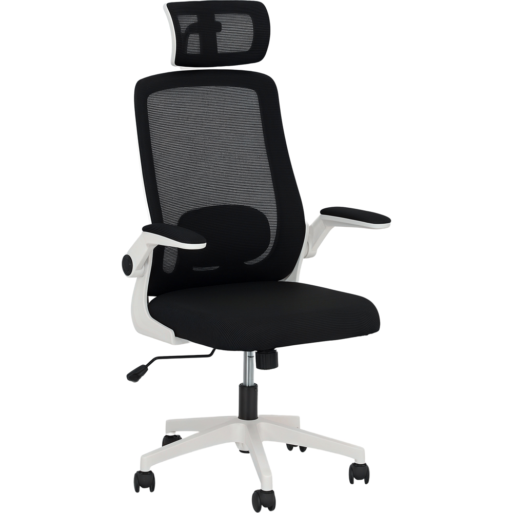 Portland Black Executive Mesh Office Chair with Lumbar Support Image 2