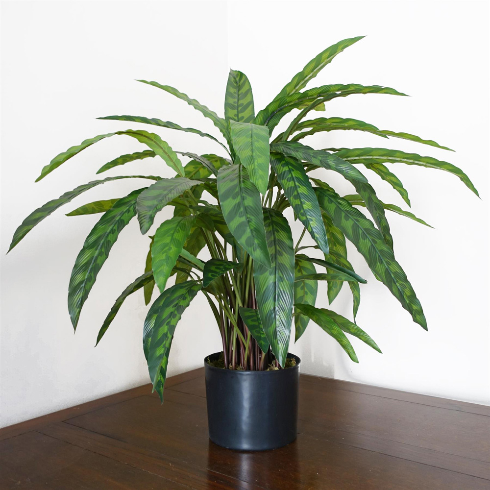 Leaf Green Variegated Calathea Artificial Plant Pot 1.9ft Image 2