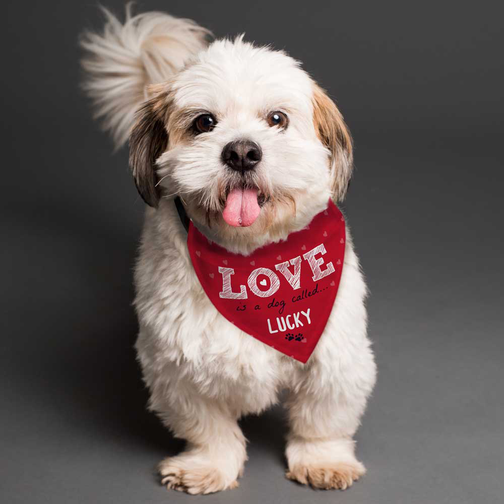 Personalised Memento Personalised Love Dog Bandana Image 2