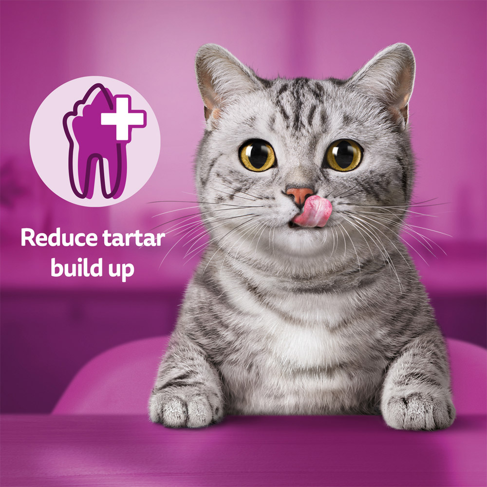 Whiskas Dentabites with Chicken Adult Cat Dental Treat Biscuits 50g Image 5