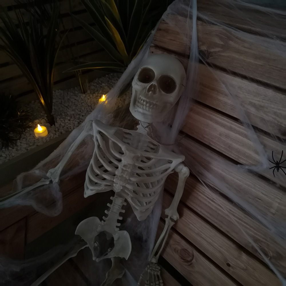 Samuel Alexander Full Skeleton Halloween Decoration 3ft Image 3