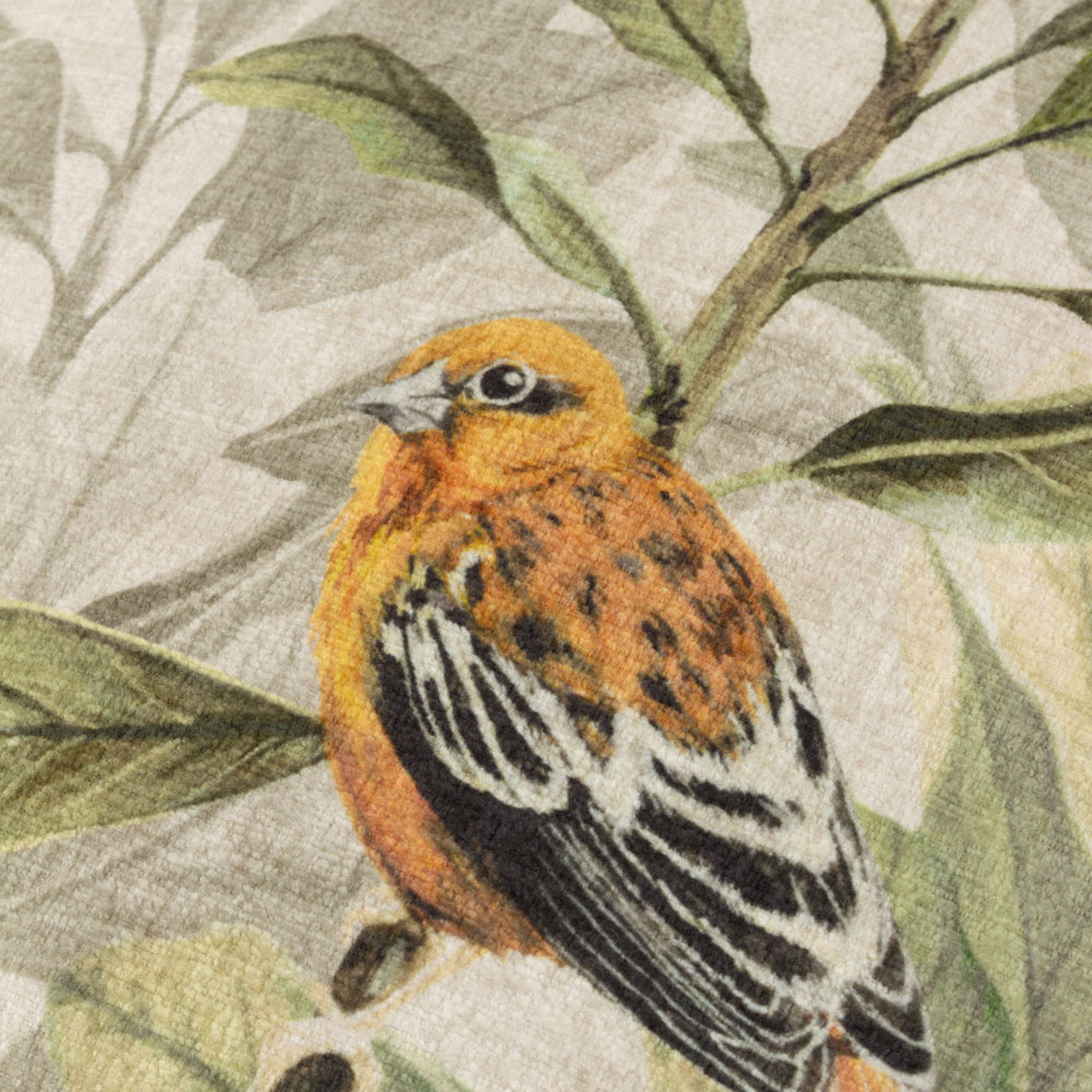 Wylder Nature Kielder Forest Swinley Bird Printed Cushion 43 x 43cm Image 4