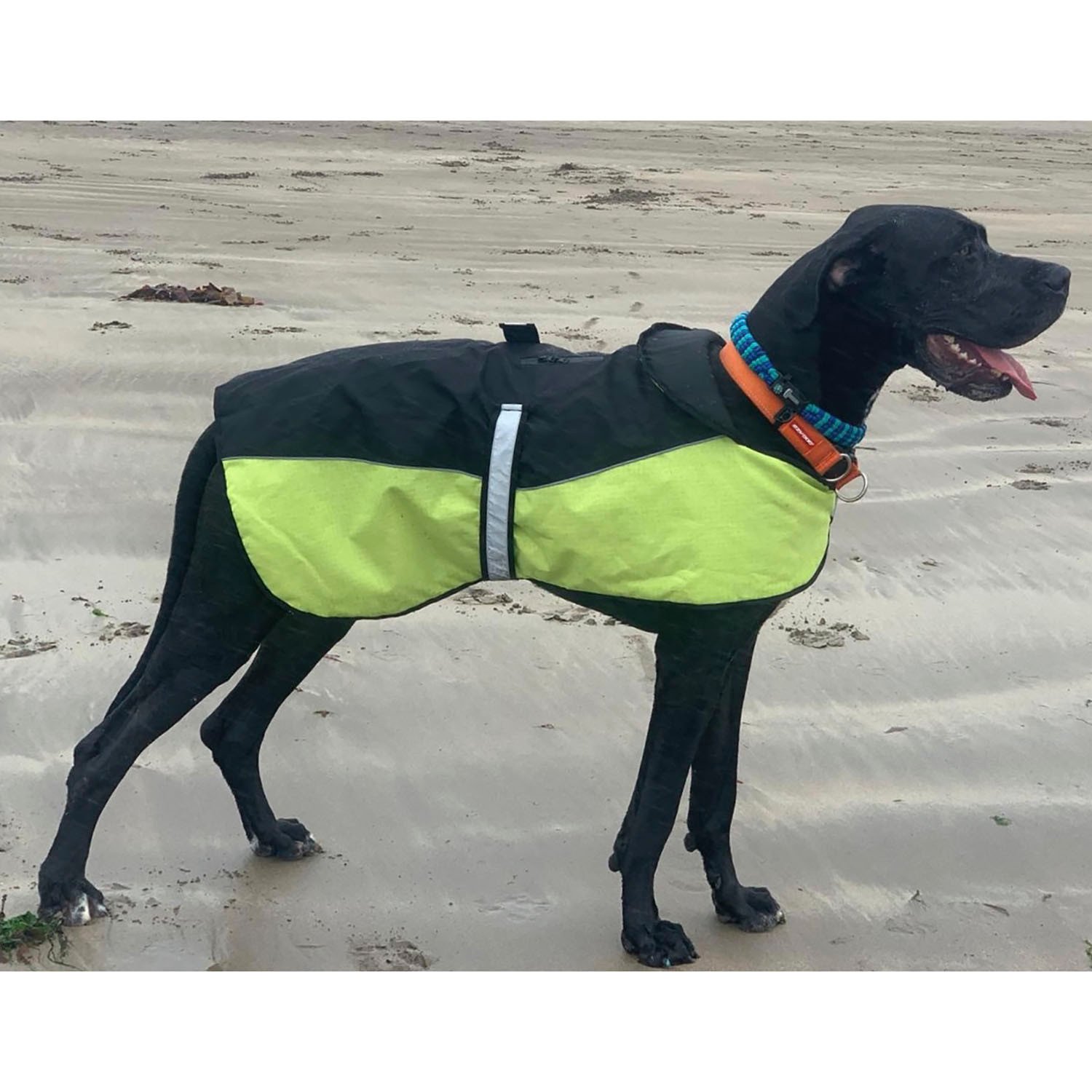 Performance Explorer Fleece Lined Dog Coat - Yellow / 50cm Image 6