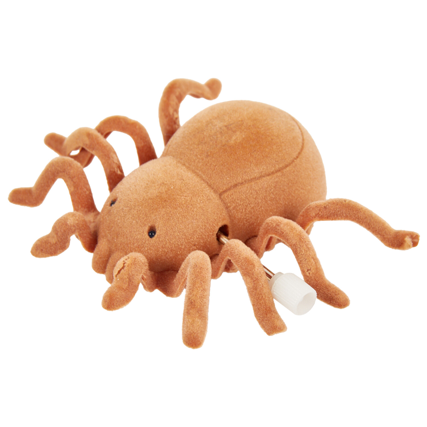 Windup Spider Cat Toy Image 3