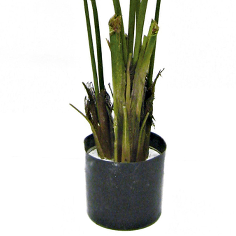Botanik Kentia Palm Artificial Tree in Pot 5ft Image 3