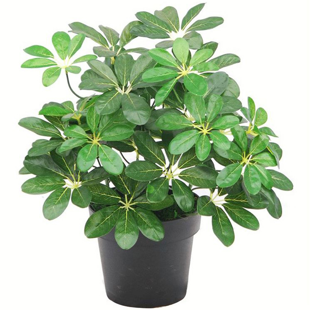 Leaf Arboricola Umbrella Artificial Tree Pot 1.8ft Image 1