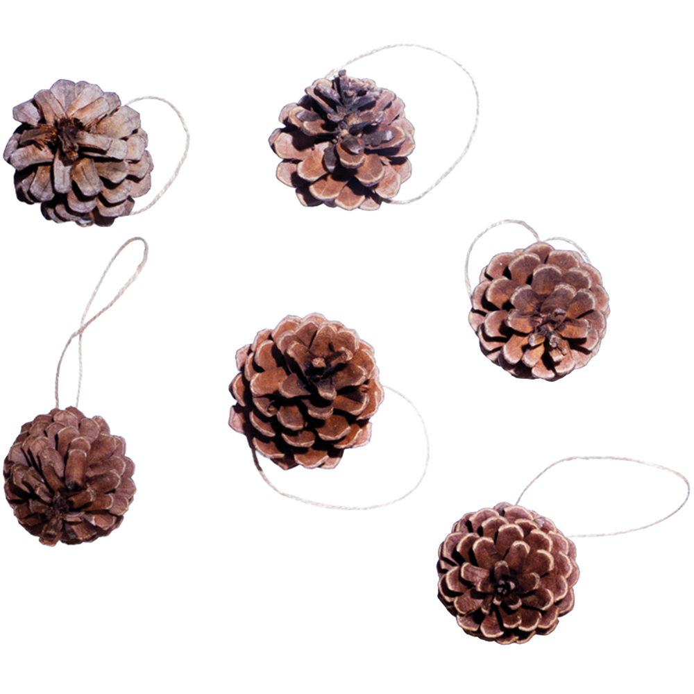 St Helens Brown Hanging Pinecones Ornaments 6 Pack Image 1