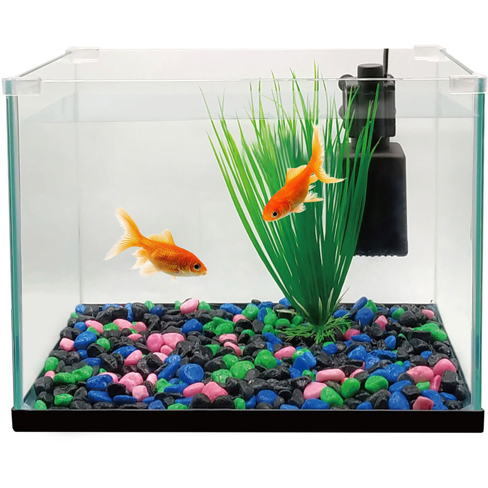 Starter Glass Aquarium Image 4