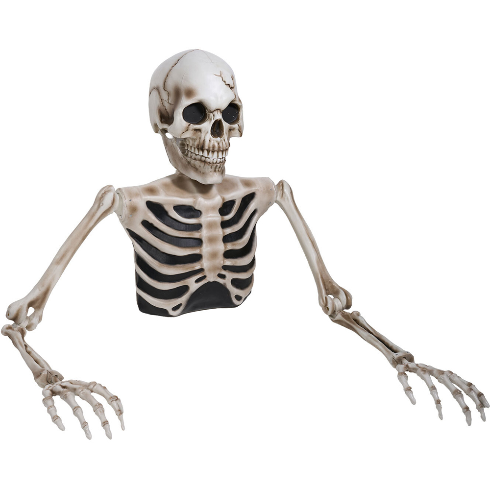 Giant Skeleton Groundbreaker Decoration Image 5
