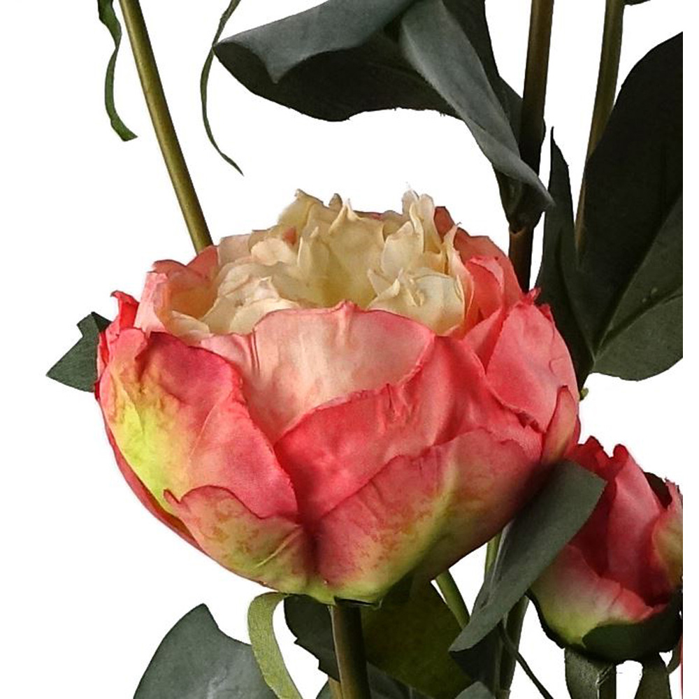 Leaf Pink Peony Single Stem Artificial Flower 55cm 6 Pack Image 5