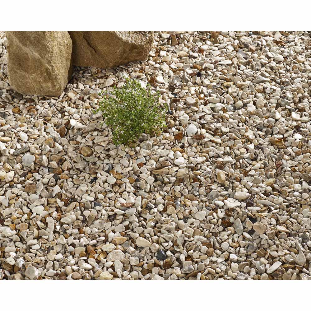 Yorkshire Cream Decorative Chippings Bulk Bag Image 1