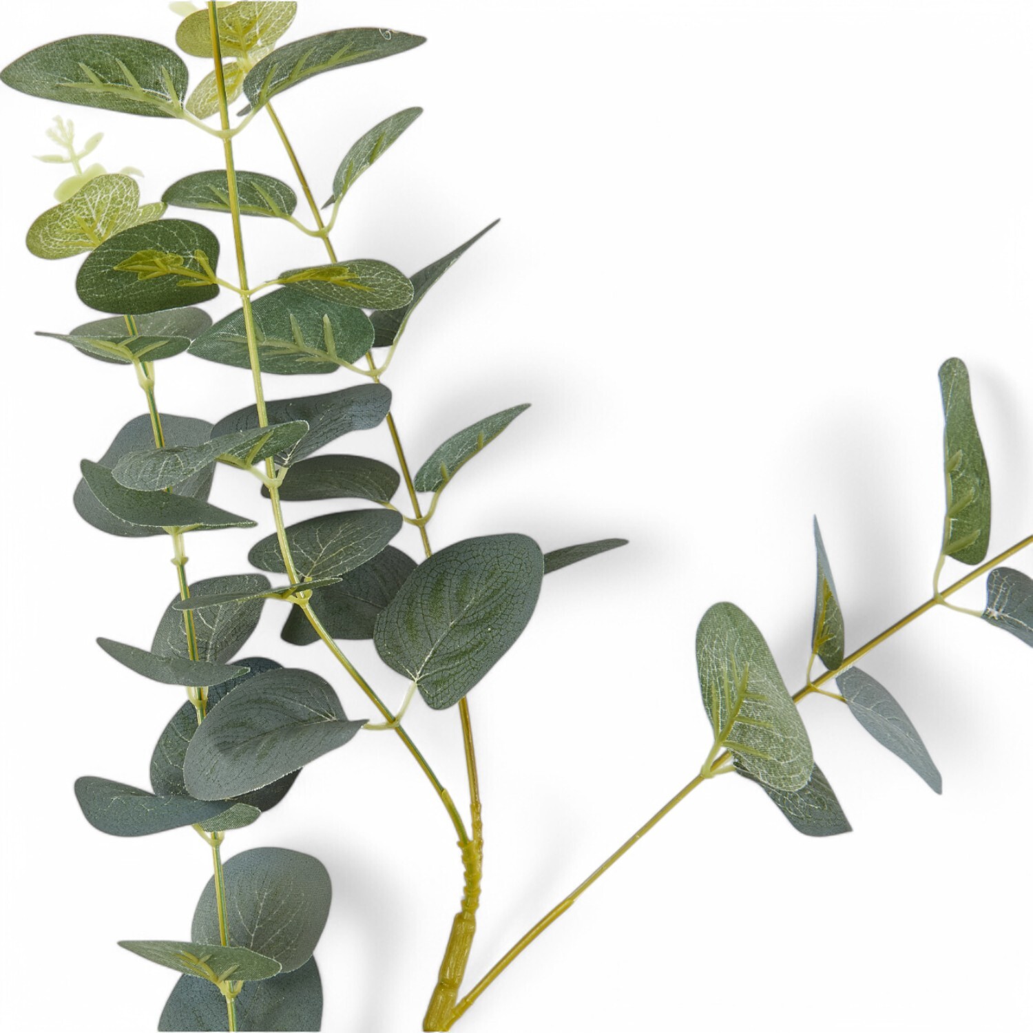 Silk Eucalyptus Stem  - Green Image 2