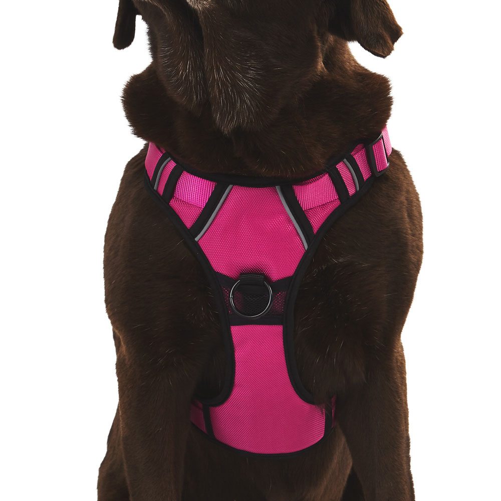 Bunty Adventure Extra Large Pink Harness Image 6
