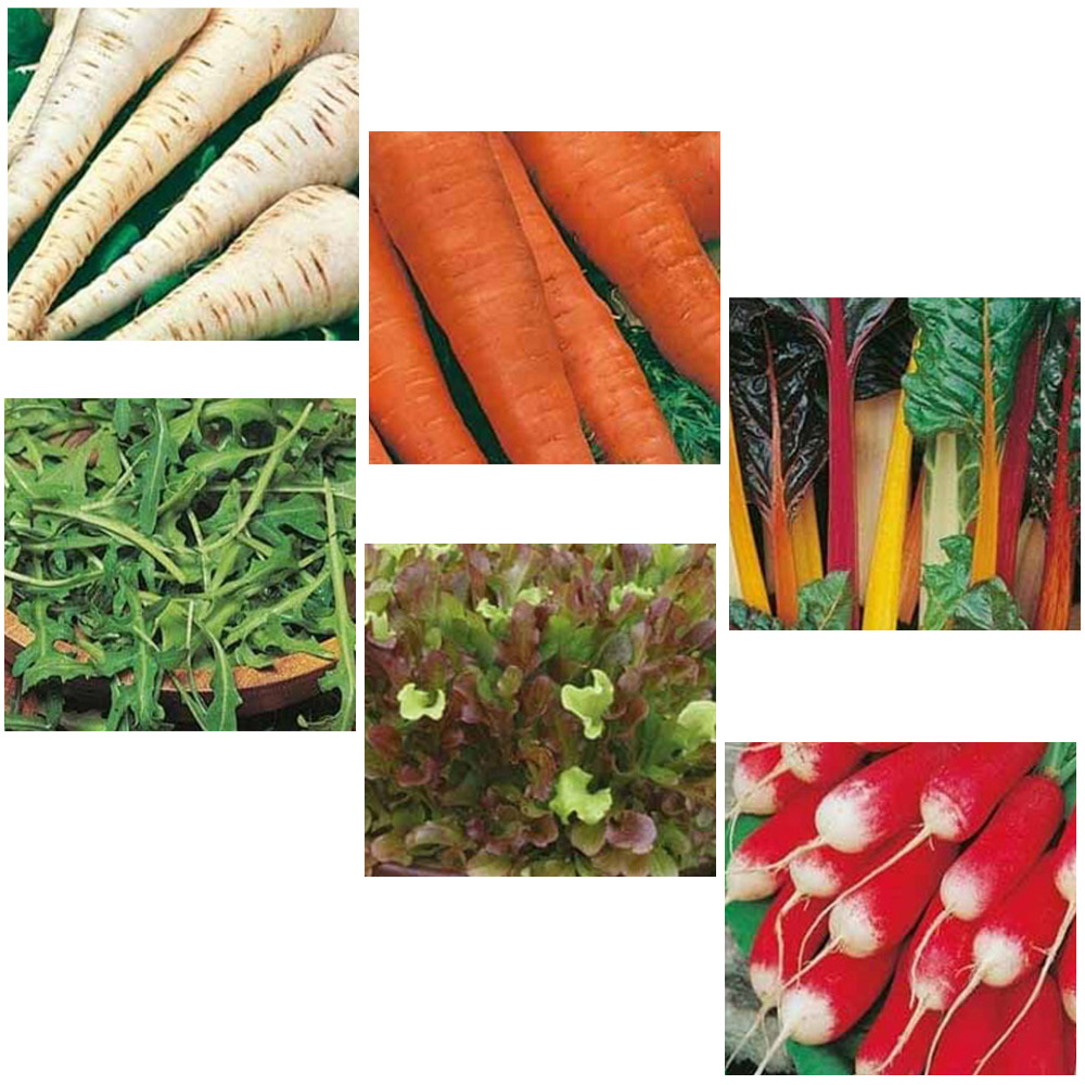Johnsons Easy Grow Vegetable Seed Bundle Image 1