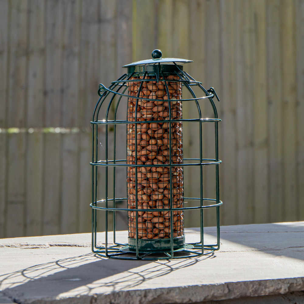 Samuel Alexander Squirrel Proof Metal Hanging Bird Nut Feeder 2 Pack with 1kg Nut Feed Image 4