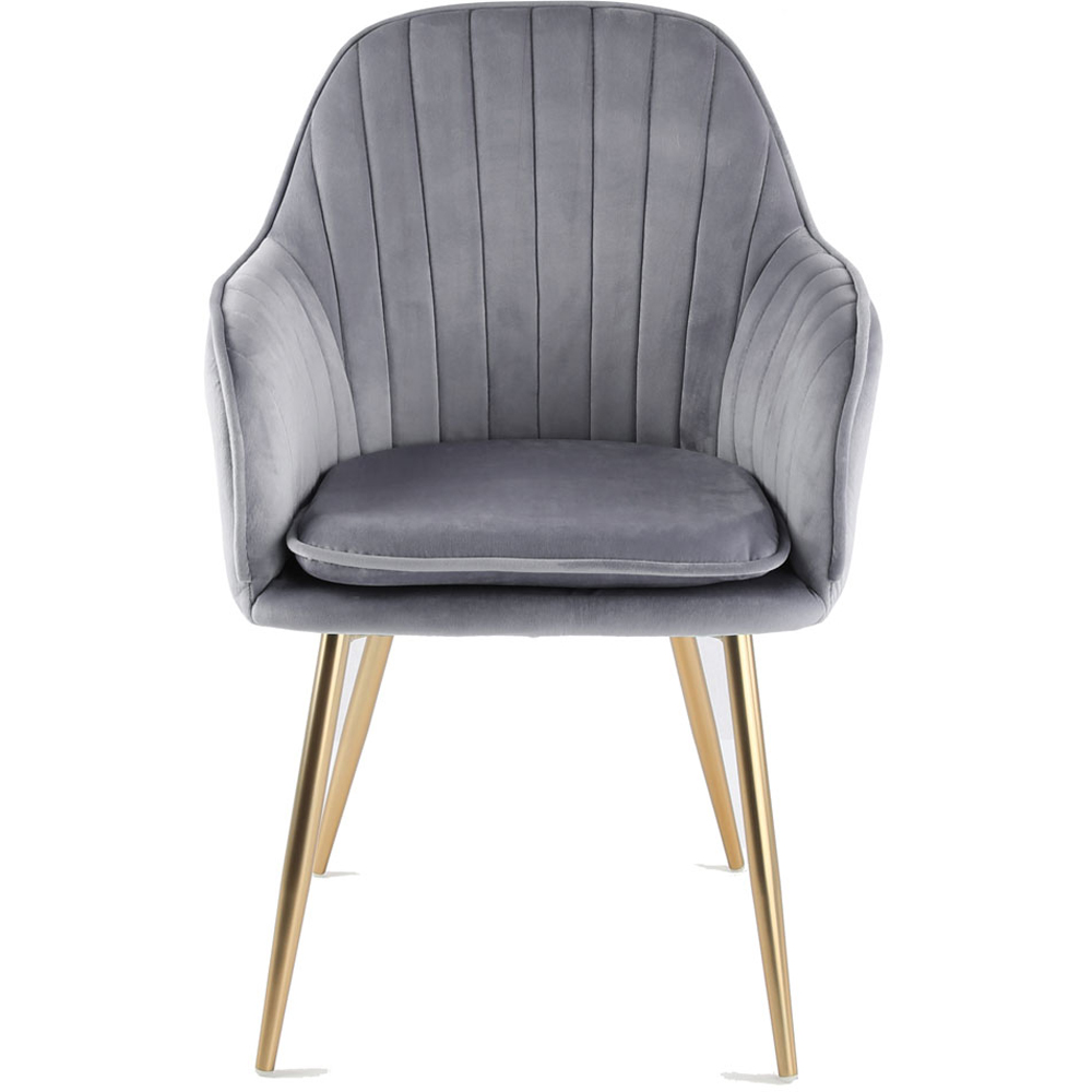 Muse Grey Velvet Accent Chair with Golden Legs Set of 2 Image 3