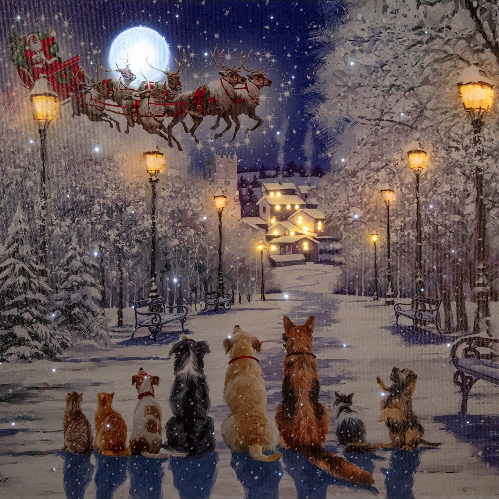 Samuel Alexander Cats and Dogs Scene Light Up Christmas Canvas 40 x 60cm Image 5