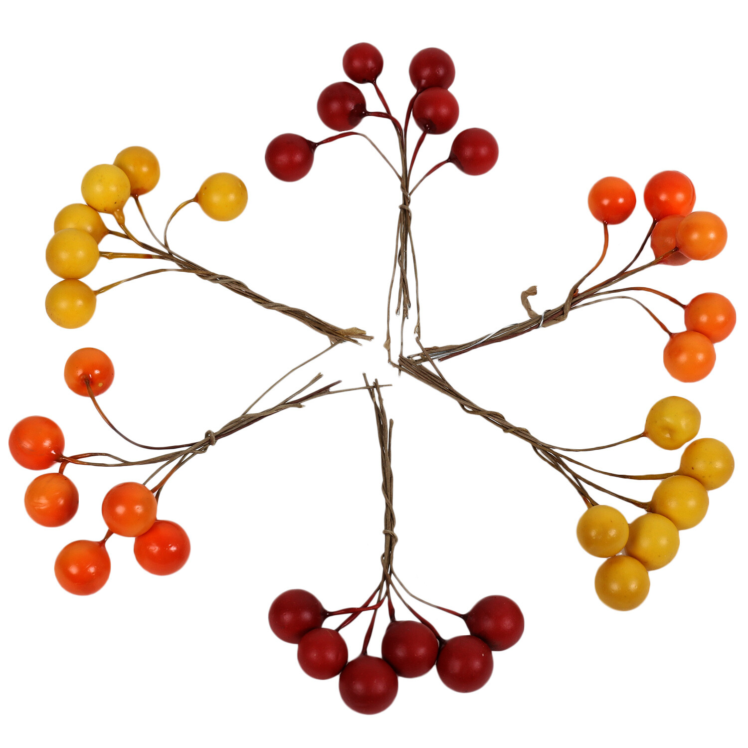 Autumnal Berry Pick Image 2