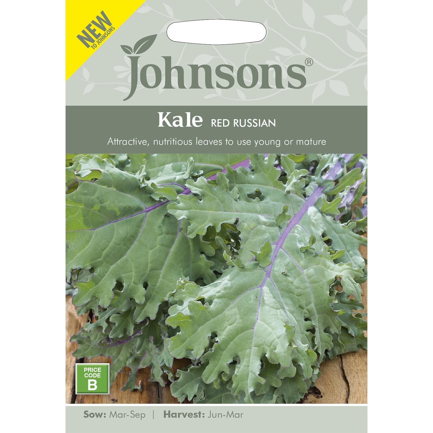 Johnsons Red Russian Kale Vegetable Seeds Image 2